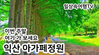 익산 아가페정원, 50년만에 개방된 비밀의 정원 가볼만한 곳 힐링여행지 Agape Garden, a secret garden in korea opened after 50 years