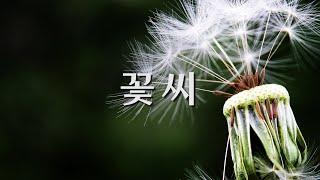 [시낭송] 진태령 - 꽃씨 (詩 문병란)