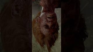 Upside down - The Last Of Us Part II #ps5#4k