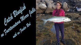 Catch Bluefish  on Fuerteventura Morro Jable  with an Feeder Rod