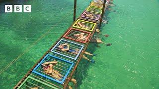 INSANE underwater cage challenge: last to leave could lose £100,0000!  - BBC