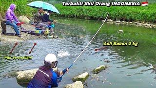 Pemancing lain melongo lihat saya dapat ikan babon || Mancing ikan nila liar