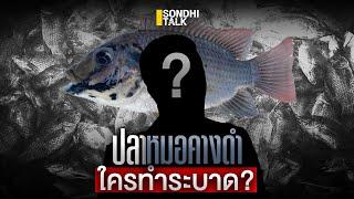 ปลาหมอคางดำ ใครทำระบาด? : Sondhitalk (ผู้เฒ่าเล่าเรื่อง) EP.252