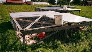 Did You Know This About the Chicken Tractor