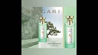 Eau Parfumee au The Vert Bvlgari for women and men #shorts