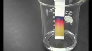 Paper Chromatography - Chemistry Experiment with Mr Pauller