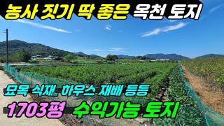 757. [옥천 토지매매] 1703평의 토지로 이원 묘목시장 부근에 있는 네모 반듯한 토지로 차량 진입 편하고 묘목식재, 하우스 농사, 유실수 재배등 활용도 좋고 햇살 좋은 토지임