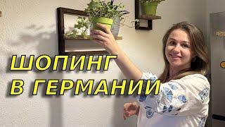 Покупка летней обуви/ Выбираем цветы для кухни и откуда синякина лице?