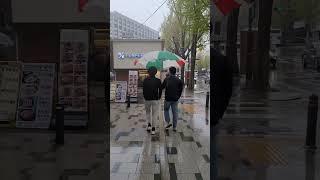 대형 우산 하나 장만했어요