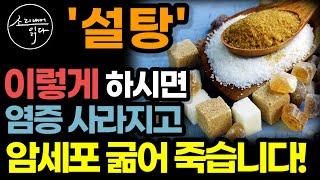 암세포가 절대 살 수 없는 몸을 만들어 버리는 간단한 방법 (정희원 교수 강력 추천) / 설탕, 이렇게 하세요! 혈당 낮추고 몸속 온갖 염증 싹 사라집니다! / 책읽어주는여자 건강