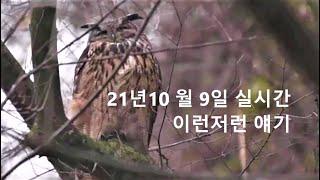 이런저런 얘기 21년10월9일 방생도공스님과 함께하는  생활불교얘기 십선업 방생 자비실천 자유와 행복의 길 #방생#생활불교#불교