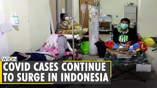 COVID-19 Update: Coronavirus cases continue to surge in Indonesia | Latest World English News | WION