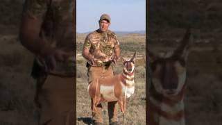 How to Decoy Antelope