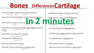 Bones vs cartilage | Difference between bone and cartilage | Biology Lectures | @BiologyLectures