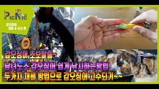 [피크닉TV] 남녀노소 초보자도 갑오징어 고수되기~