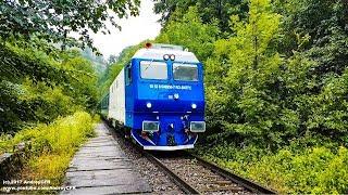 Trenuri în Defileul Crișului Repede (Vadu Crișului - Șuncuiuș) / Trains in Crisul Repede's Canyon