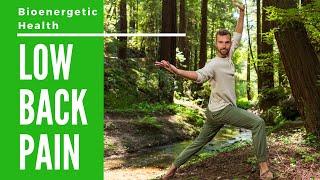 Bioenergetic Exercises for Low Back Pain - Qigong for Low Back Pain