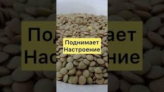 Чем Полезна Чечевица?