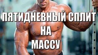 ПЯТИДНЕВНЫЙ СПЛИТ НА МАССУ/БОЛЬШАЯ БАНКА