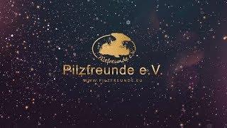 Weihnachtslogo Pilzfreunde