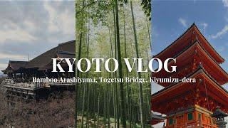 Day 3 - Kyoto Japan Vlog 2024 | Arashiyama Bamboo Grove | Togetsukyo Bridge |  Kiyomizu-dera