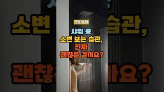 샤워 중 소변 보는 습관, 진짜 괜찮은 걸까요? #건강정보 #건강 #건강한중년