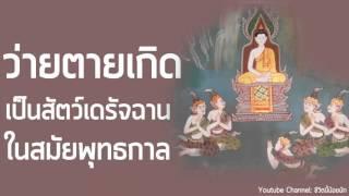 การเวียนว่ายตายเกิด วัฏสงสาร ในสมัยพุทธกาล