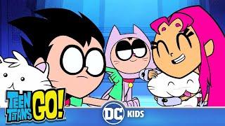 Teen Titans Go! | More Cats Cats Cats | @dckids