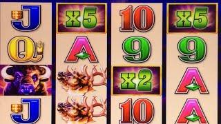 PT 1 AMAZING BUFFALO 50X Win $5.00 BET #slotman #casino #slotmachine #yaamavacasino