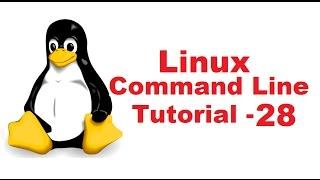 Linux Command Line Tutorial For Beginners 28 -  Head and Tail Commands