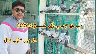 Parwazi Bachay Ready for Season 2025 | Ustad Mian Mustajab Moshi