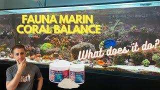 Fauna Marin Coral Balance Overview and Review