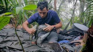 Colombia: ranas venenosas y serpientes raras