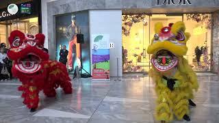 NYCCC LNY 2024 Dragon HUDSON YARDS 1.27.2024  -1 PM LION Dance-  (MAIN CAM)