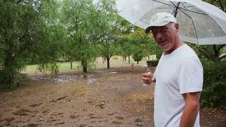 From Drought to Downpour: Sudden Autumn Storm Hits After Months Without Rain!