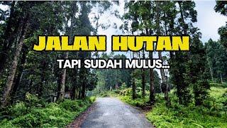 JALAN HUTAN TAPI SUDAH MULUS, Purwokerto - Purbalingga