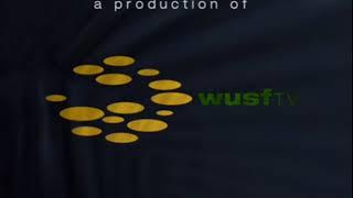 WUSF-TV logo (2006)