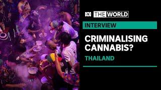 Thailand’s government looking into re-criminalising weed | The World