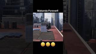 WAKANDA FOREVER! #marvelsspiderman2  #ps5 #gaming #milesmorales #blackpanther #wakandaforever