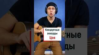 "Звезда по имени солнце" - как Цой ставит аккорды на концертах?