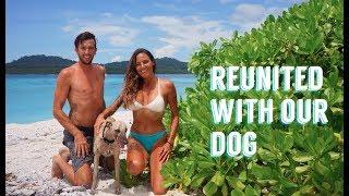 Importing our pet Whippet, Marley is Back!! Sailing Nandji, Ep 64