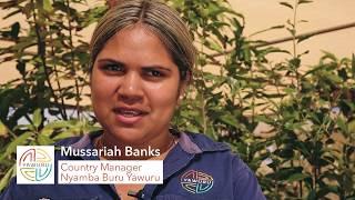 Monsoonal Vine Thickets on Yawuru country