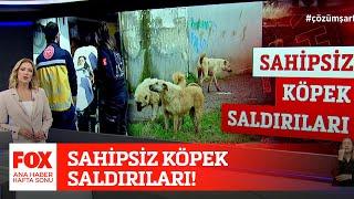 Sahipsiz köpek saldırıları! 24 Nisan 2022 Gülbin Tosun ile FOX Ana Haber Hafta Sonu