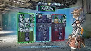 Borderlands 2 Best Mechromancer (Gaige) Level 30 Build