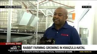 KZN small-scale farmer ventures into rabbit farming
