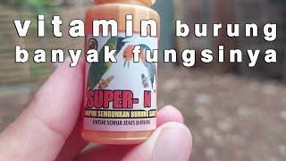 review super - N vitamin burung macet bunyi