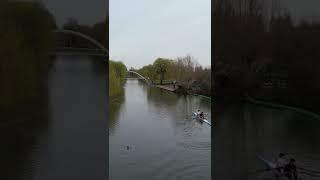 Canoeing on River near Ducks #shorts