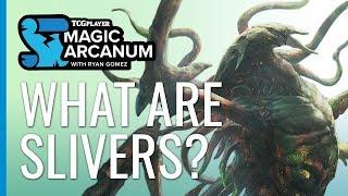 What are Slivers? | Magic Arcanum