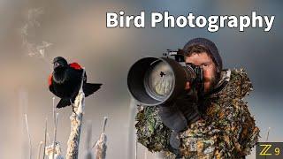 BIRD PHOTOGRAPHY | SHARP photos | PRO tips using the BEST camera settings for wildlife | Nikon Z9