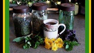 Herbs for Teas: Harvesting and Drying